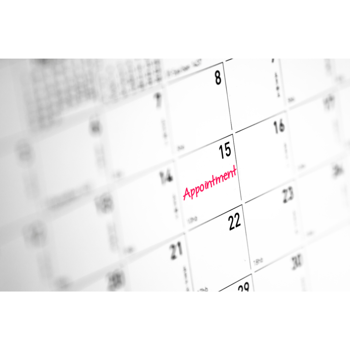 calendar with an appointment on the 15th