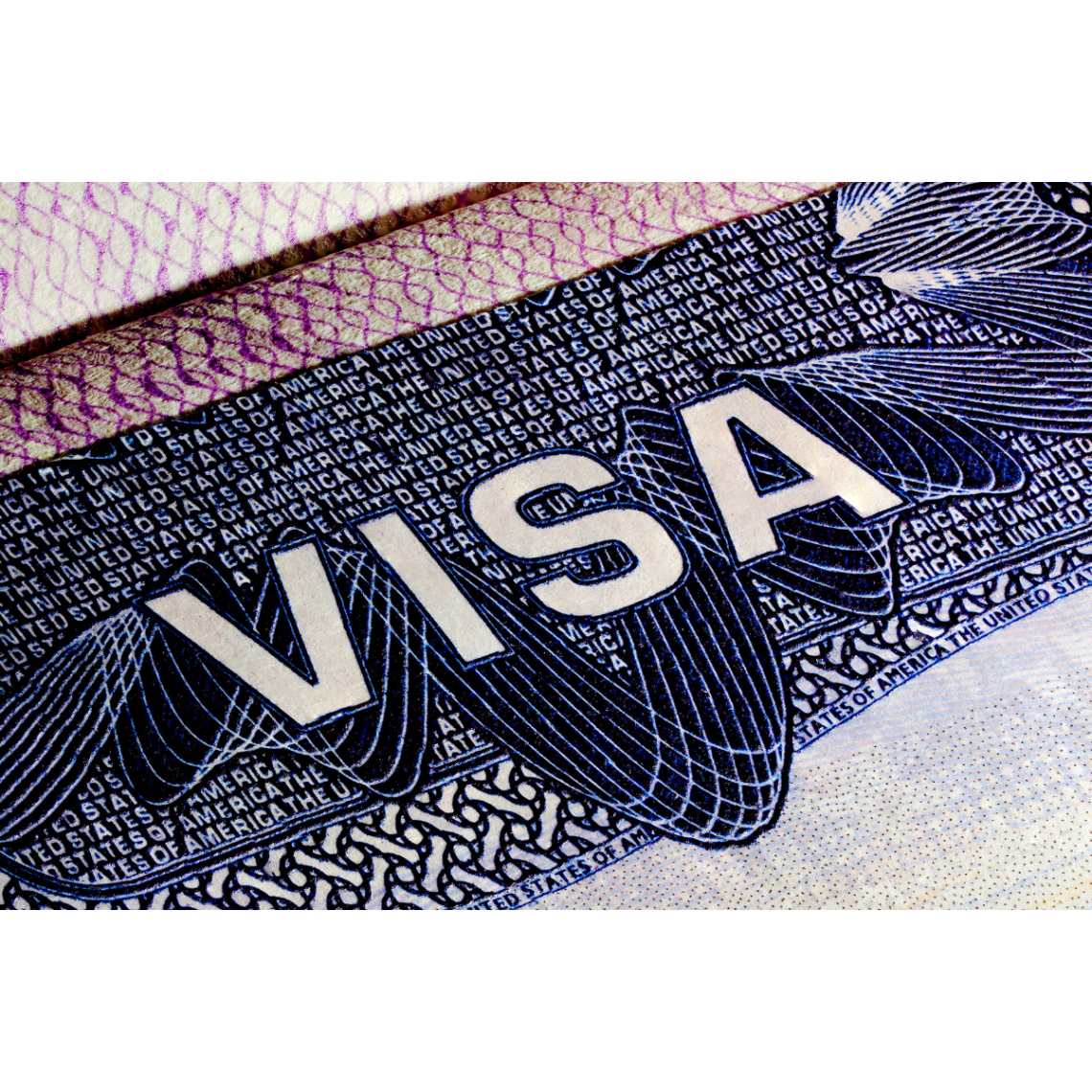 Visa zoomed in